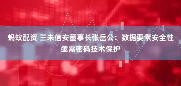 蚂蚁配资 三未信安董事长张岳公：数据要素安全性亟需密码技术保护